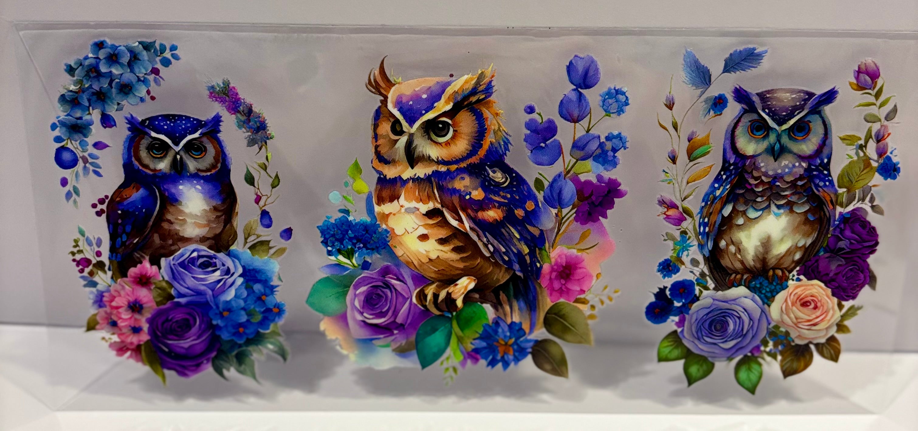 Owls - Wrap