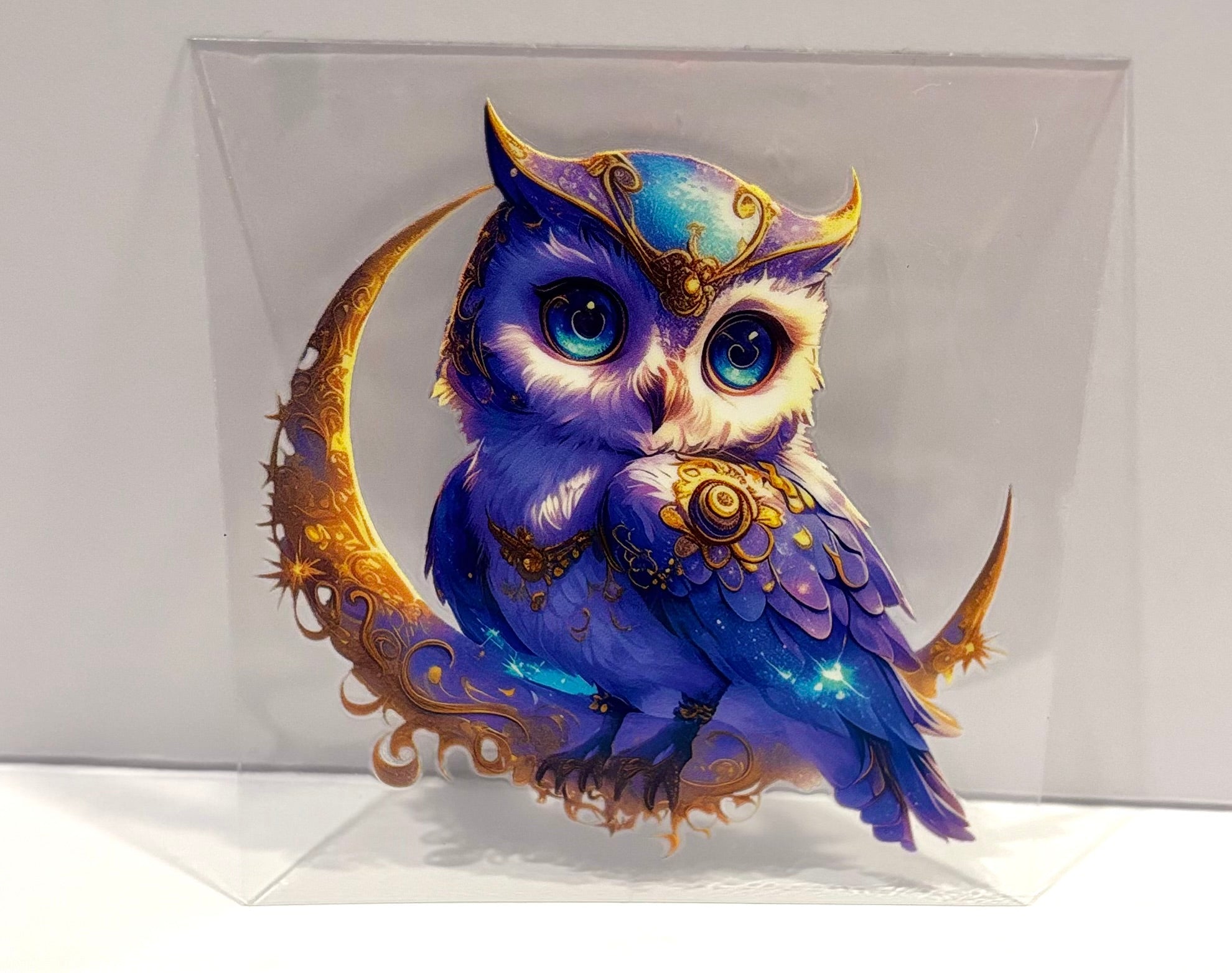 Owl - Decal