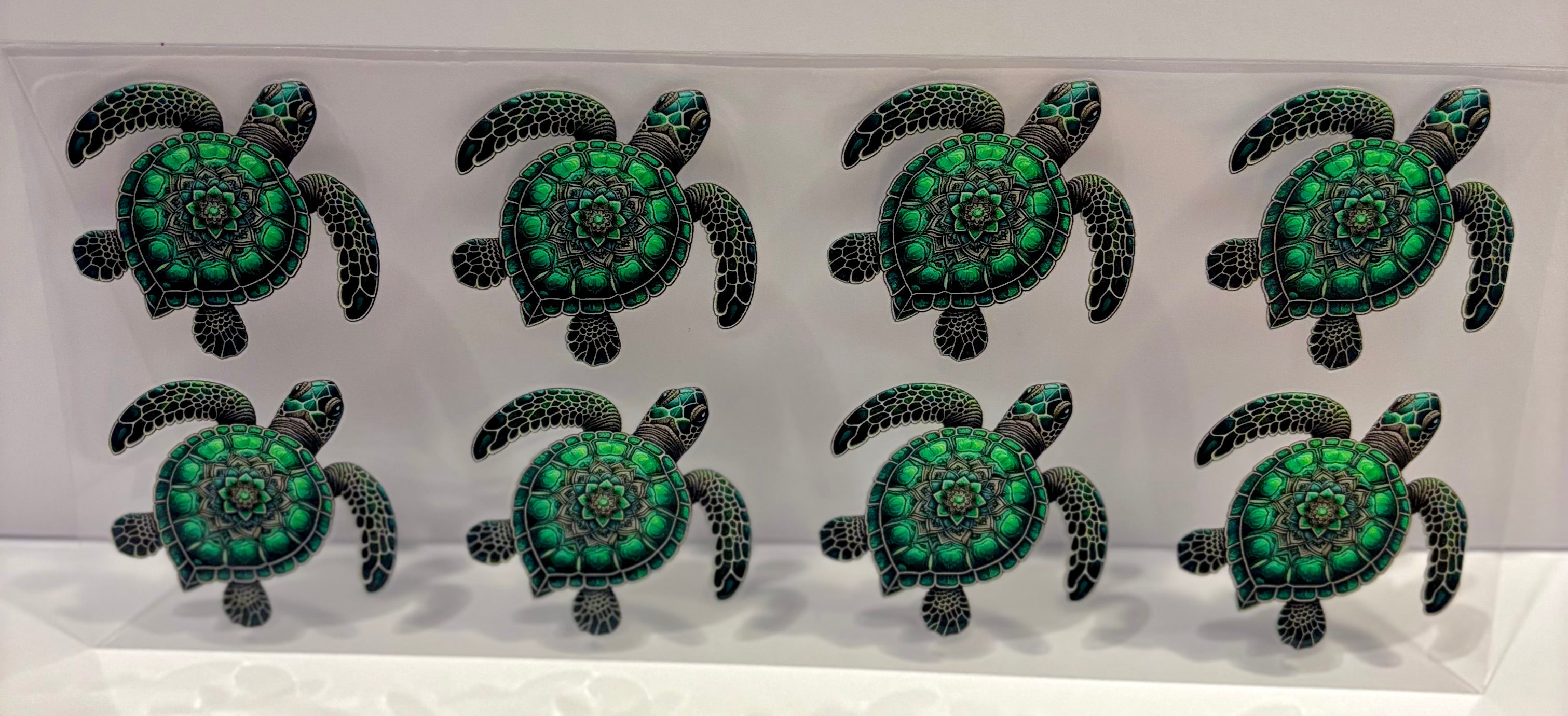 Green Turtles - Wrap