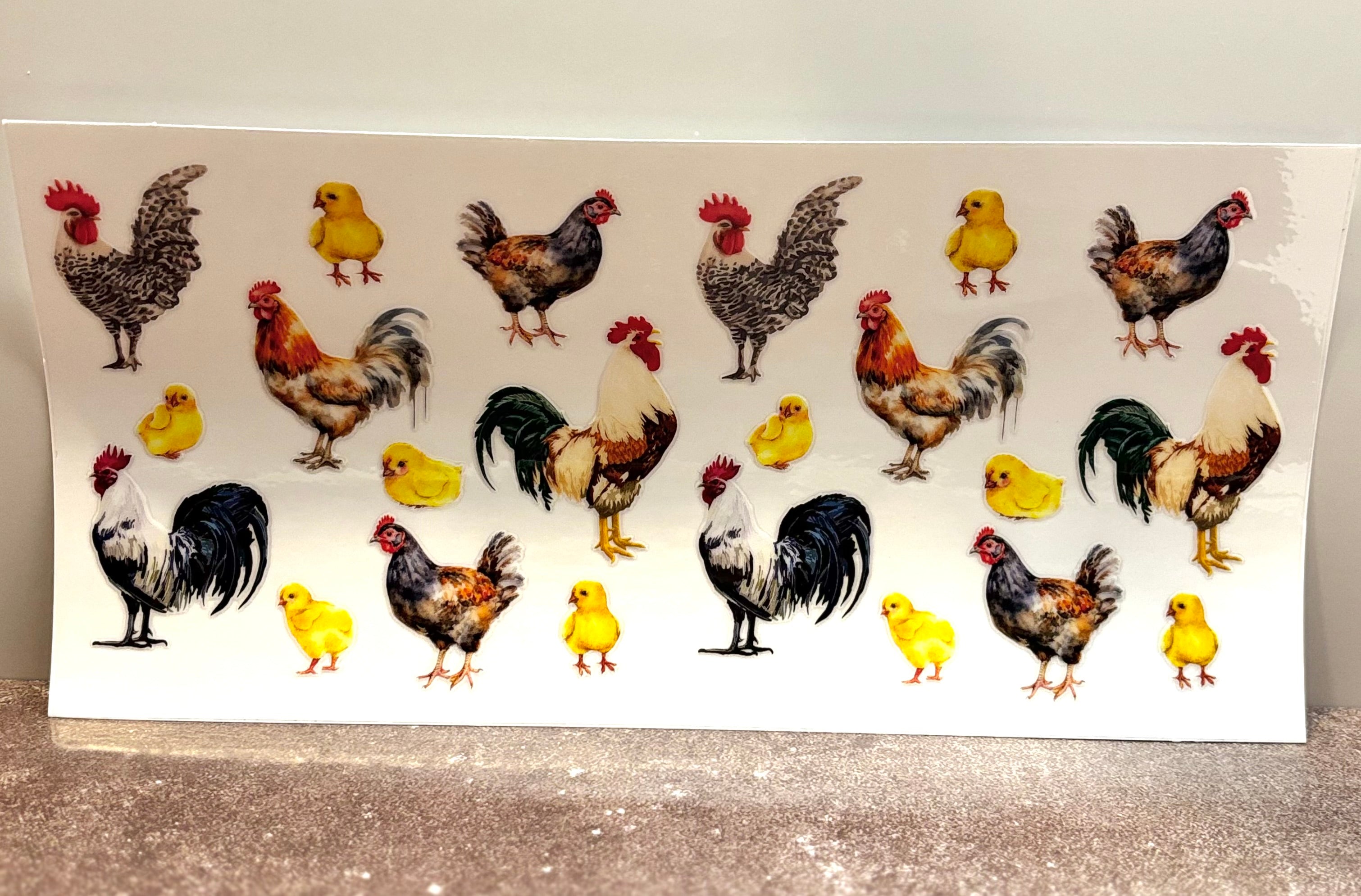Chickens - Wrap