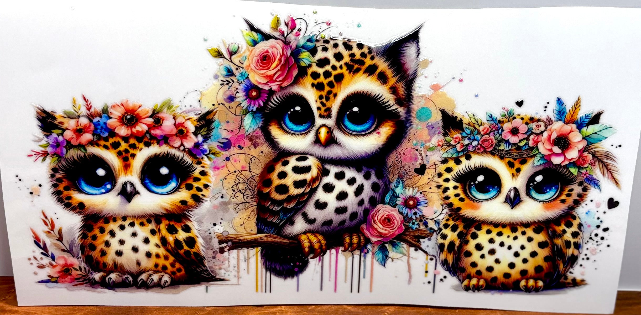Owls - Wrap